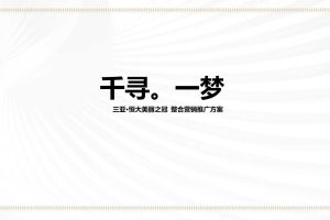 恒大三亚·美丽之冠2019整合营销推广提报方案（PPT）