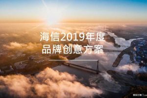 海信2019年度品牌创意方案（PPT）