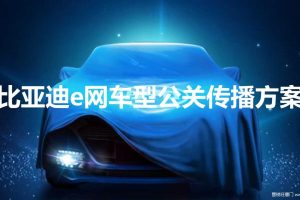 比亚迪e网车型2019年公关传播方案（PPT）