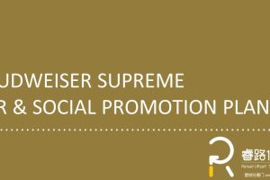 百威单一麦芽啤酒2017公关及社会化传播方案（PPT）