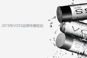 VOSS天然矿泉水2019品牌传播规划方案（PPT）