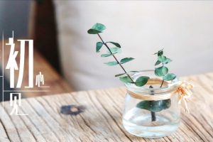 统帅2018年度新品发布会策划方案（PDF）