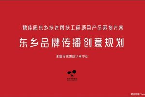 2019碧桂园东乡扶贫帮扶工程项目产品策划-东乡品牌传播创意规划方案（PPT）