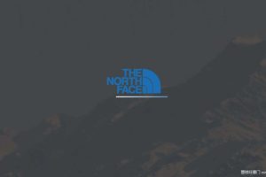 The North Face北面2019新产品策略方案（PDF）