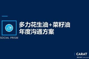 多力花生油2018-2019年度品牌沟通与传播执行方案（PPT）
