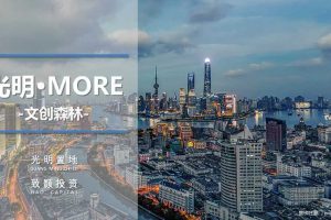 光明·MORE文创森林招商规划及运营投标方案（PPT）