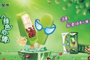 蒙牛绿色心情雪糕2019品牌升级策略提报方案（PPT）