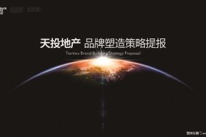 天投地产2019品牌塑造策略方案（PDF）