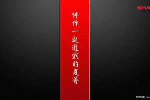 夏普SHARP2017ChinaJoy运营执行方案（PDF）