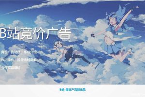 B站（bilibili）竞价广告产品介绍（PDF）