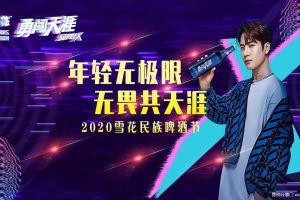 雪花啤酒2020民族啤酒节“年轻无极限 无畏共天涯”活动策划方案（PPT）