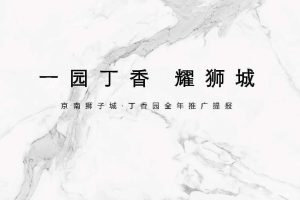 京南狮子城2020年度推广方案（PDF）