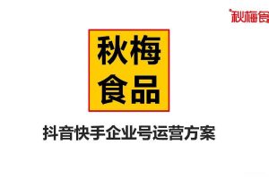 秋梅食品2020抖音企业号运营方案（PDF）