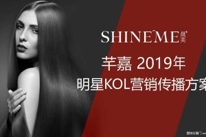 立白芊嘉2019明星KOL营销传播方案（PPT）