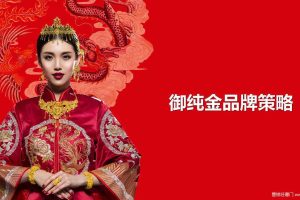 御纯金2019品牌传播策略方案（PPT）