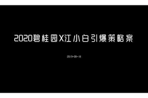 碧桂园x江小白2020创意引爆策略方案（PDF）