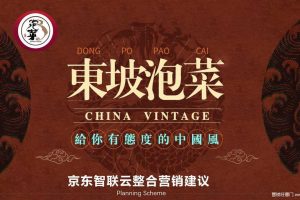 食品品牌东坡泡菜2020京东智联云整合营销策划方案（PDF）