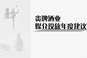 贵牌酒业2018-2019年度媒介投放建议方案（PPT）