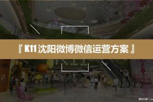 K11沈阳双微运营规划方案（PPT）