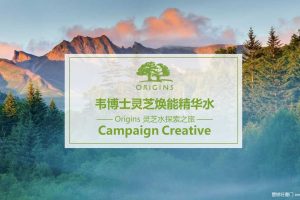 韦博士Origins灵芝焕能精华水品牌传播方案（PPT）