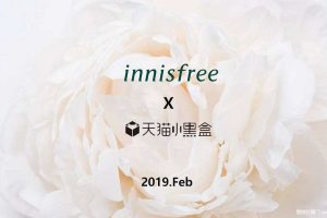 悦诗风吟innisfree x 天猫小黑盒2019电商推广方案（PPT）