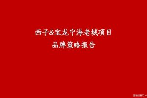 宝龙&西子樾珑府项目2020品牌策划整合推广方案（PDF）