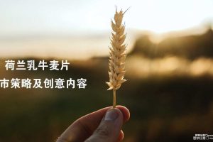 荷兰乳牛麦片上市策略及创意内容方案（PDF）
