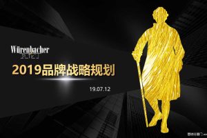 瓦伦丁啤酒2019品牌战略规划方案（PPT）