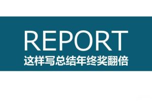 没业绩如何写年终总结（PDF）