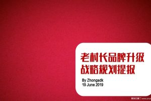 老村长白酒品牌升级战略规划提报方案（PDF）