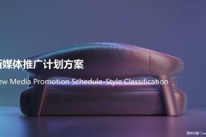 2020家居品牌新媒体推广策划方案（PDF）