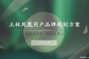 茶叶品牌“土林凤凰”用户品牌规划方案（PDF）