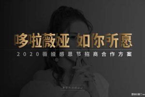 2020薇娅感恩节直播招商合作方案（PDF）