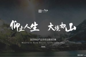 远洋仰山2020产品发布会活动策划方案（PPT）