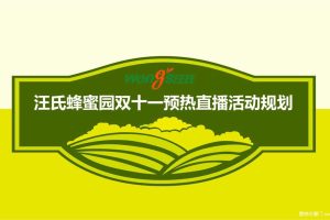 汪氏蜂蜜品牌双十一预热直播策划方案（PPT）