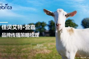 佳贝艾特·营嘉羊奶粉品牌传播策略梳理方案（PDF）