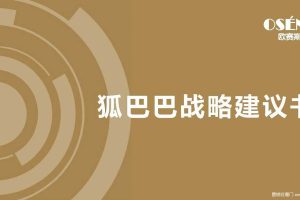 游学及营地教育品牌-狐巴巴品牌战略规划及整合营销策划方案（PDF）