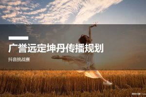 医药品牌广誉远定坤丹抖音挑战赛传播规划方案（PPT）