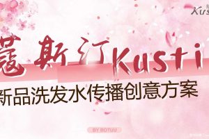 蔻斯汀洗发水2019新品上市传播创意方案（PDF）