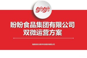 盼盼食品新媒体双微运营方案（PDF）