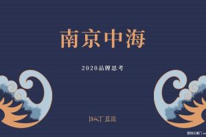 中海地产南京地区2020年度品牌营销方案（PDF）