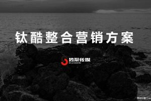 杯子品牌钛酷2020双微一抖代运营及内容营销方案（PDF）