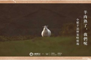 小肥羊餐饮火锅品牌策略破题策划方案（PDF）