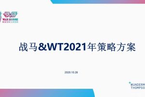 功能饮料品牌战马2021年品牌策略方案（PPT）