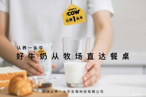 认养一头牛品牌介绍+合作案例（PDF）