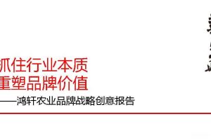 【华与华】农产品品牌“小鲜蛋”战略创意报告方案（PDF）
