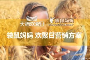 孕妇护肤品牌袋鼠妈妈x天猫欢聚日营销方案（PPT）