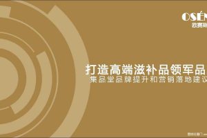 滋补保健品牌集品堂品牌提升和营销落地战略规划方案（PDF）