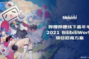 2021BilibiliWord哔哩哔哩线下嘉年华项目招商方案（PDF）