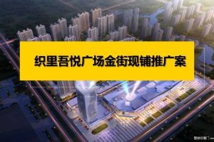 织里吾悦广场金街商铺推广方案（PPT）